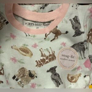 Burt's Bees, Mint Animal Pajama Set, organic cotton, NWT